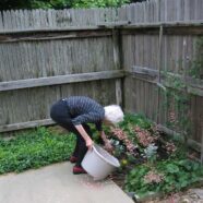 Gardening